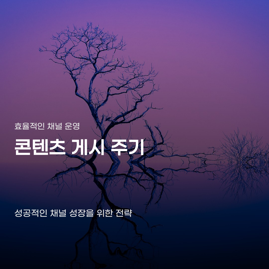 콘텐츠 게시 주기, 운영 채널의 성격과 콘텐츠 품질에 따라 결정됩니다