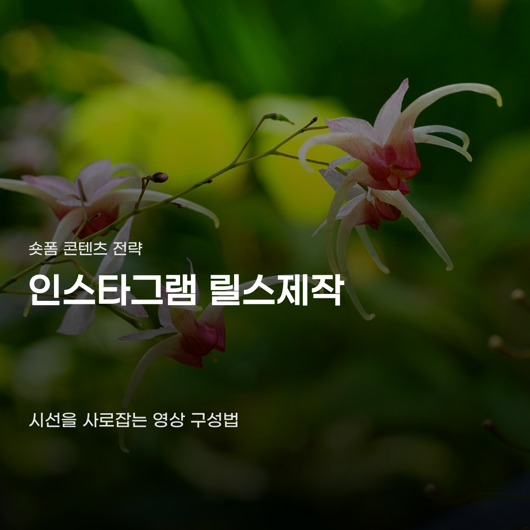 인스타그램 릴스제작, 촬영부터 캡컷 편집까지의 단계